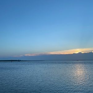 Meet your Posher, Tessa